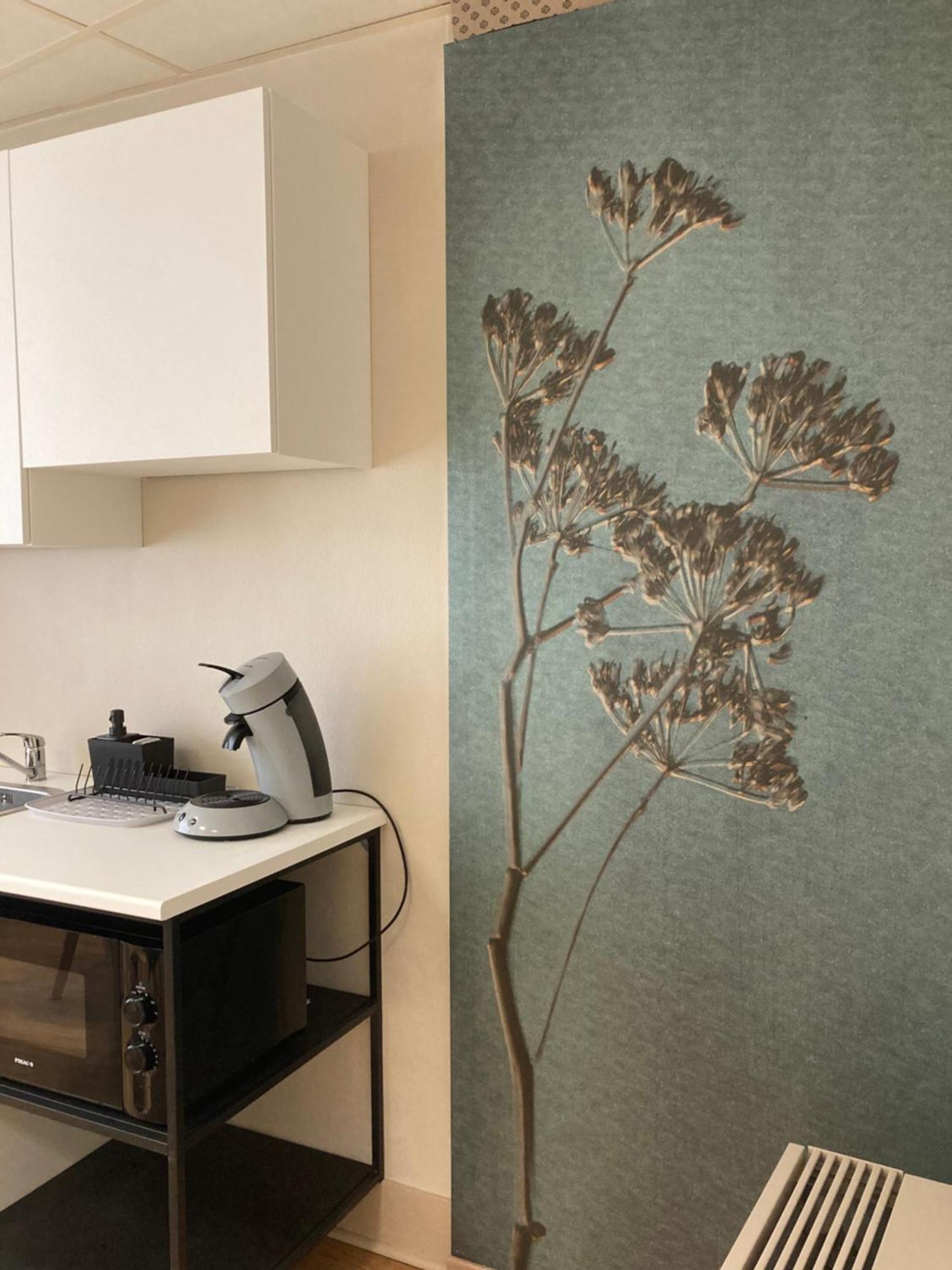 Gite D'Avalon Appartement 5 迪南 外观 照片